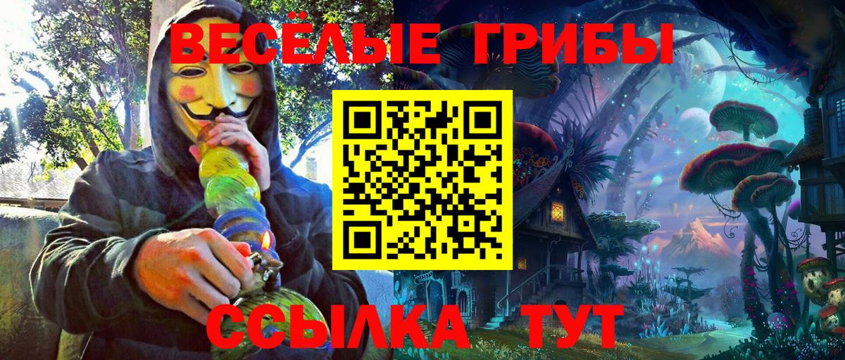 Норильск  Галлюциногенные грибы Psilocybine cubensis  Вход с VPN 