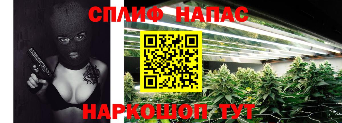Марихуана планчик  Вход с VPN  Марихуана семена  Бошки Шишки SATIVA & INDICA  Норильск 